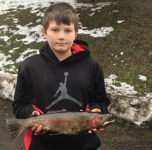 Meet your Posher, Preston